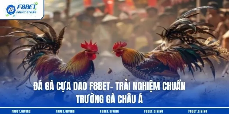 Đá Gà Cựa Dao F8BET– Trải Nghiệm Chuẩn Trường Gà Châu Á