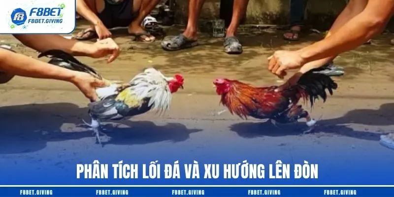 Đá Gà Cựa Dao F8BET - Trải Nghiệm Chuẩn Trường Gà Châu Á 3 Phân tích lối đá và xu hướng lên đòn