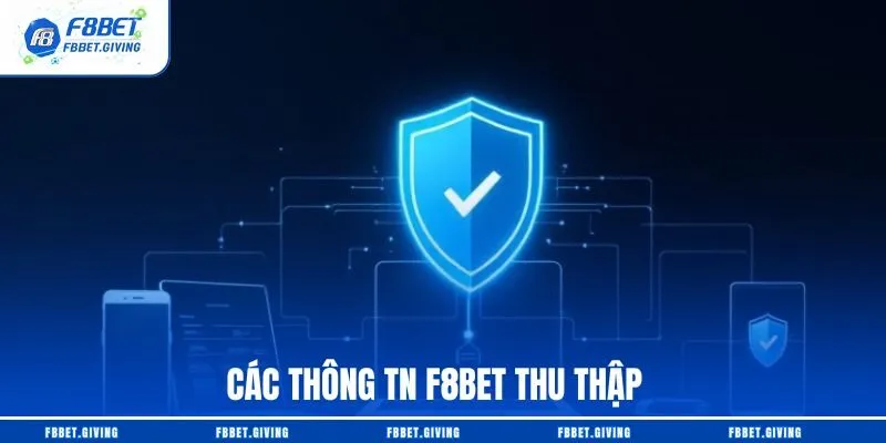 Các thông tn F8BET thu thập
