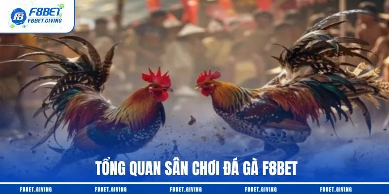 Tổng quan sân chơi đá gà F8BET