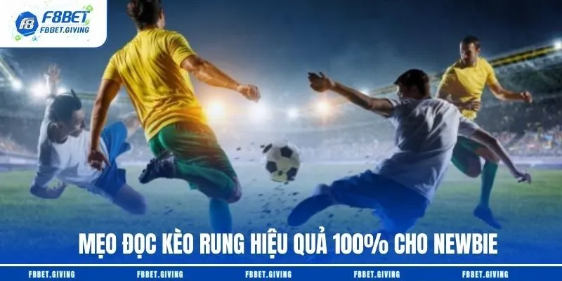 Mẹo đọc kèo rung hiệu quả 100% cho newbie